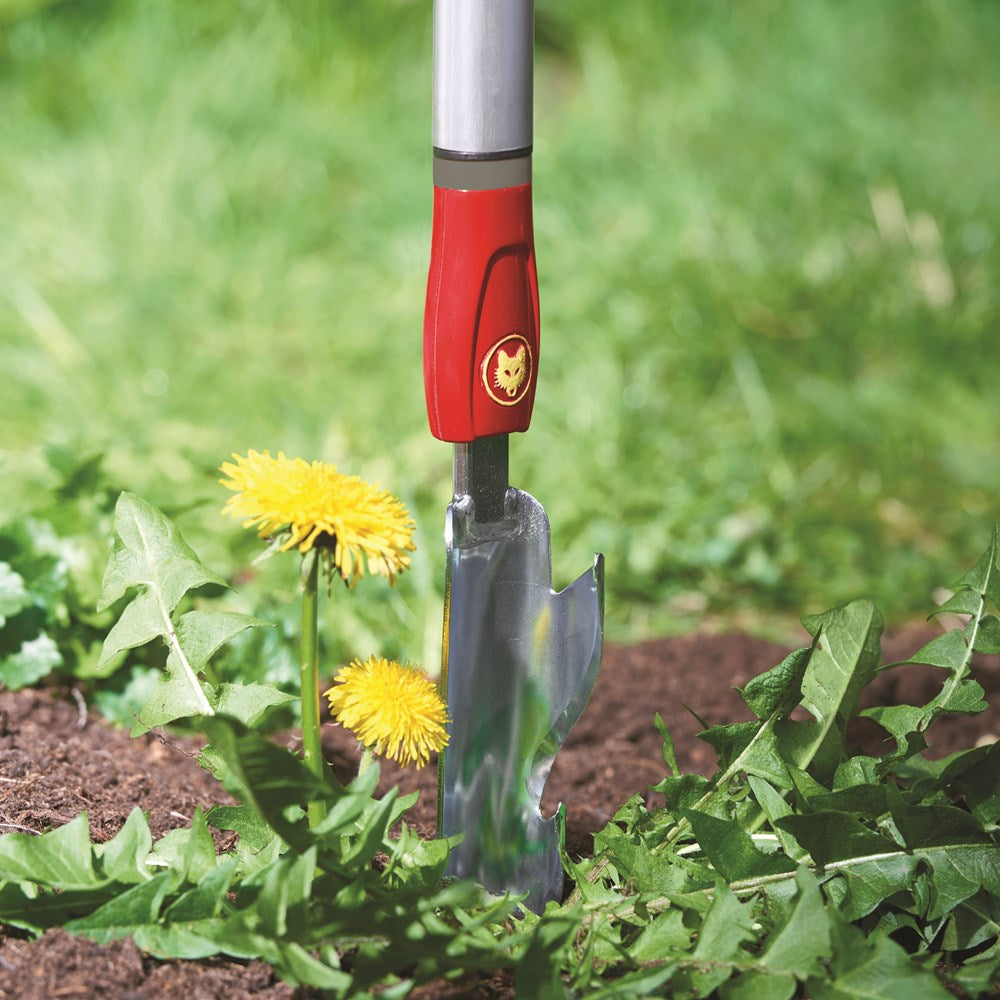 Close-up of Wolf-Garten IWM Weed Extractor angled blade head