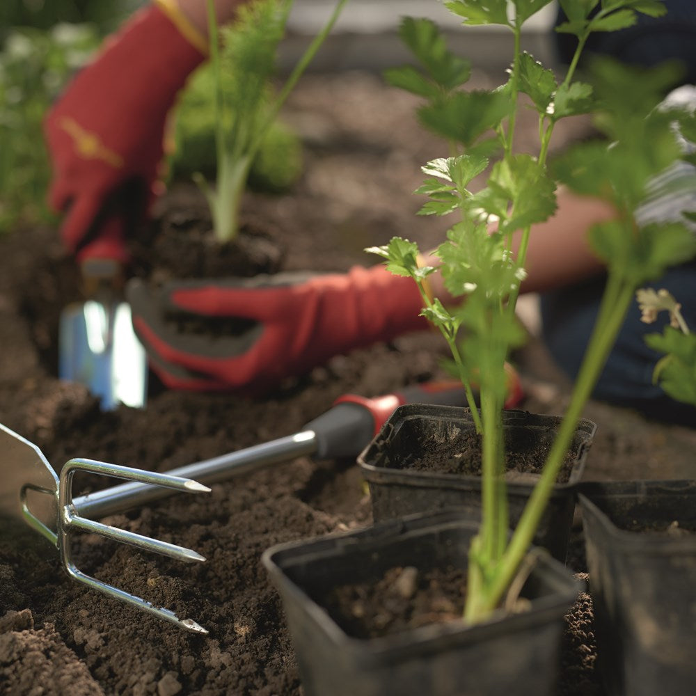 WOLF-Garten LNM Multi-Change® Mini Hoe with red and yellow 7cm steel head, featuring a sharp angled blade and three rear prongs, shown on a bed of soil