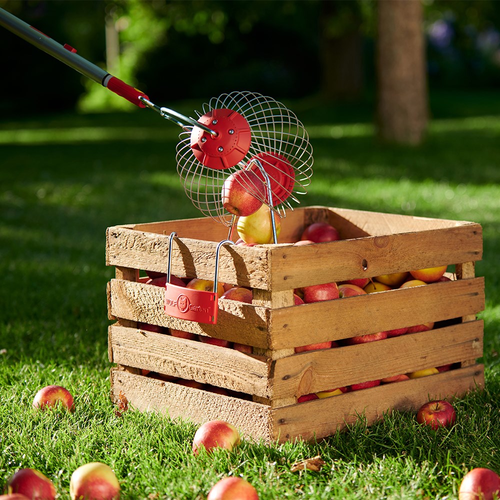 WOLF-Garten Multi-Change® Fruit Collector - WolfOnline