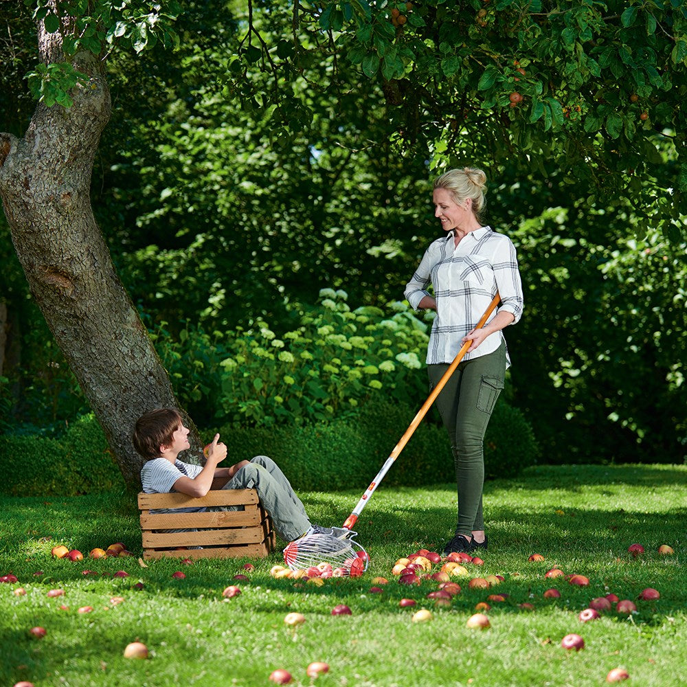 Picture of mature lady and younger son collecting apples using wolf garten fruit collector