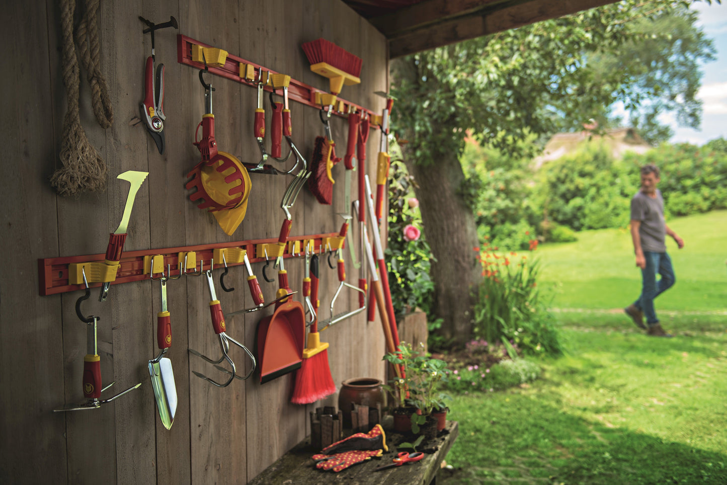 WolfOnline Gift card WolfOnline