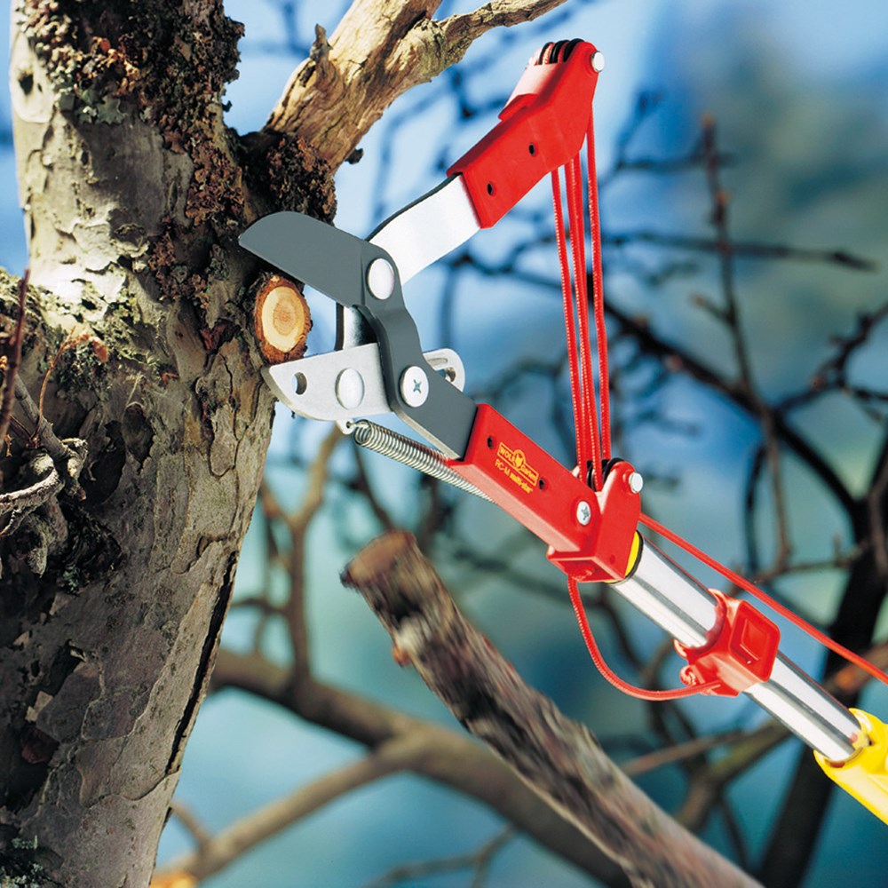 In use (with handle extended):
Gardener using WOLF-Garten Anvil Tree Lopper on high tree branch