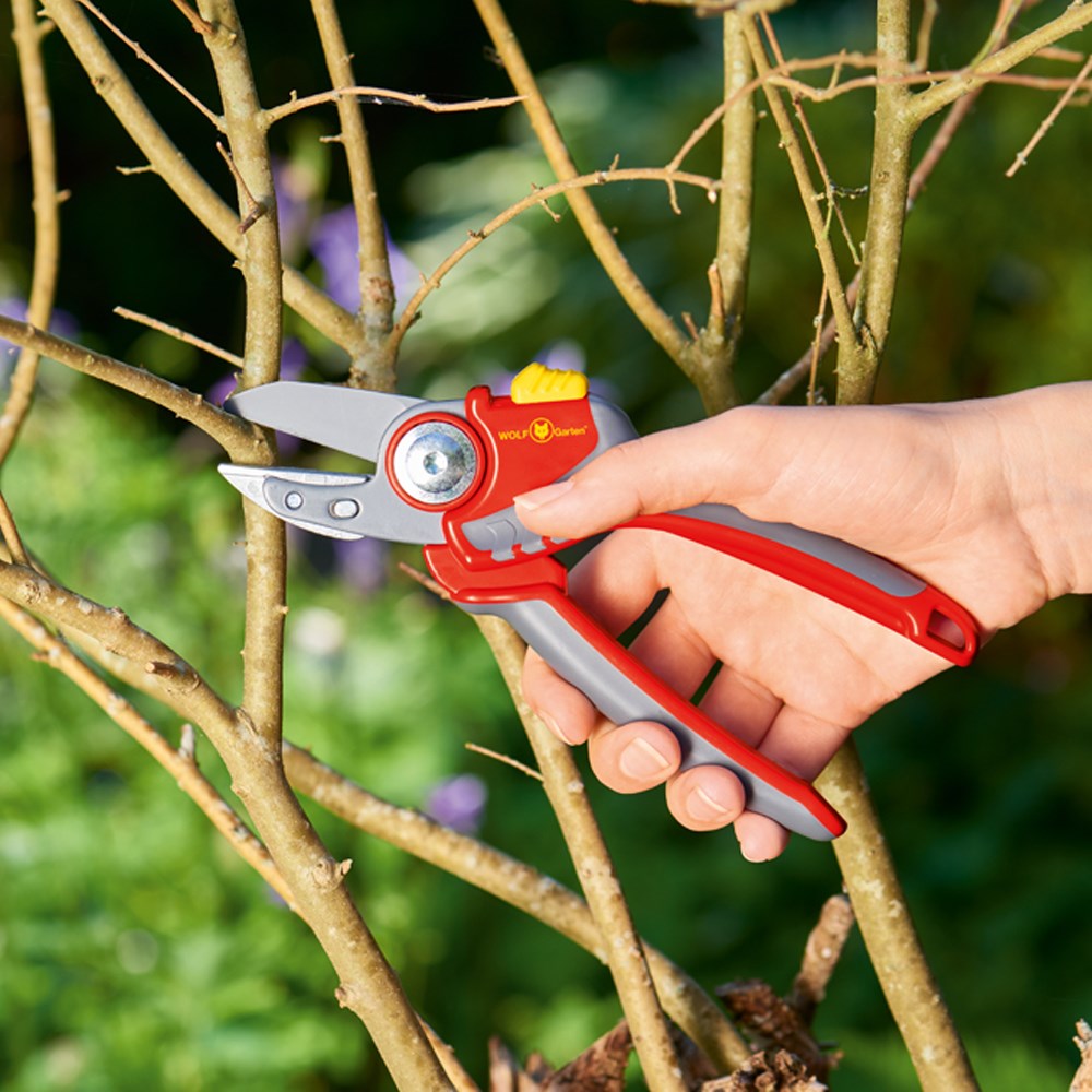WOLF-Garten RS4000 Anvil Secateurs with red and yellow ergonomic handles and non-stick coated blade, shown pruning thick stems.
