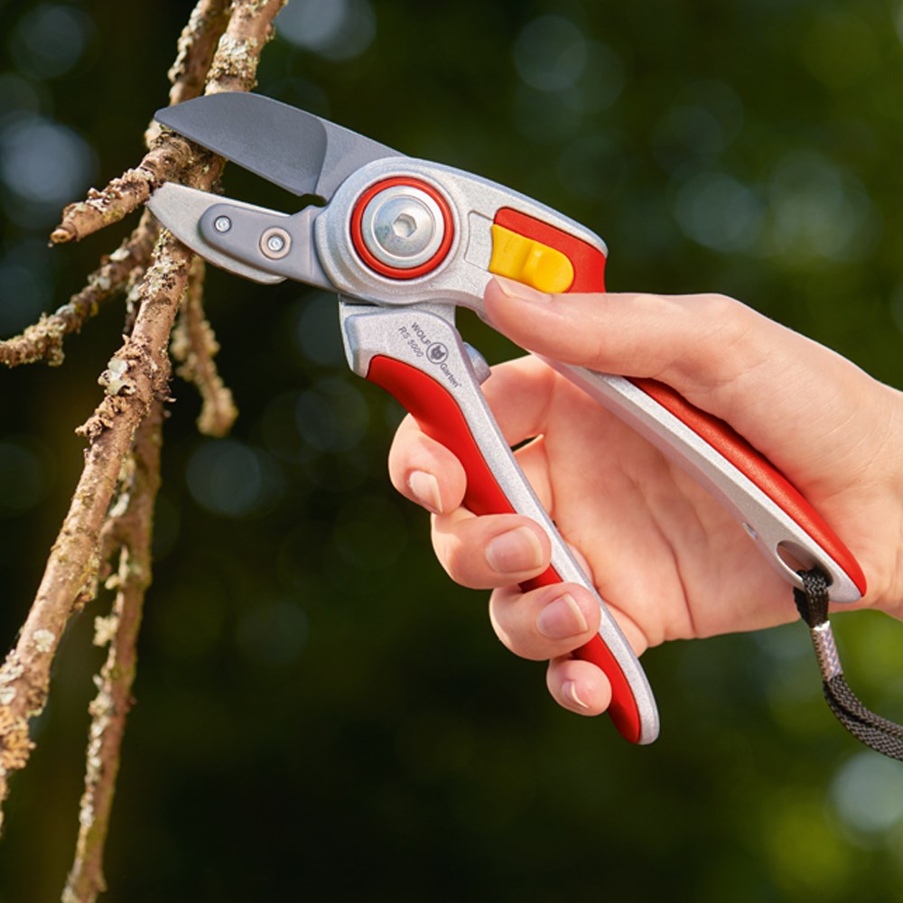WOLF-Garten RS5000 Anvil Secateurs with red and yellow ergonomic handles and non-stick coated blade, shown cutting thick woody stems.
