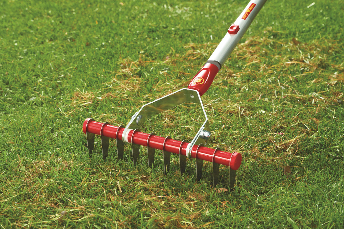 WOLF-Garten moss remover rake for removing moss and thatch from lawns during autumn garden maintenance
