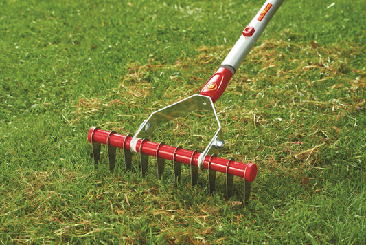 WOLF-Garten moss remover rake for removing moss and thatch from lawns during autumn garden maintenance