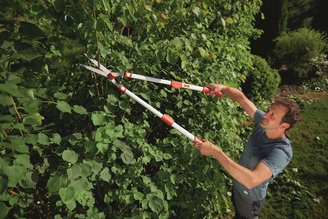 hedge shears wolf garten free delivery