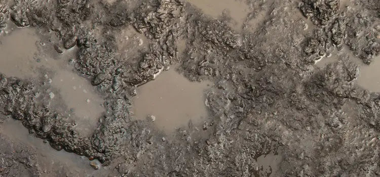 Clearing Water with Wolf Garten Tools: A Comprehensive Guide