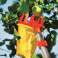 WOLF-Garten Multi-change® Adjustable Fruit Picker - WolfOnline