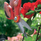WOLF-Garten Multi-Purpose Scissors Wolfonline