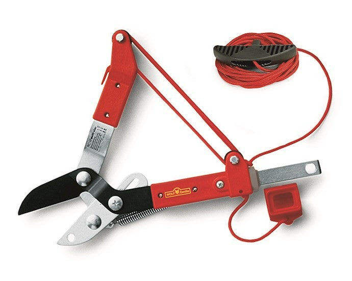Wolf-Garten Multi-Change® PC370MS Pruning Saw & RCM Anvil Tree Lopper & ZMV4 Telescopic Handle WolfOnline