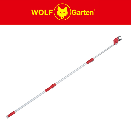 WOLF-Garten RR400T Dual Cut Extendable Loppers - 5.5m Telescopic Tree Lopper Wolfonline