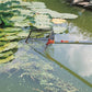 WOLF-Garten Multi-Change® ZMV3 Telescopic Handle 170-300cm & WKM Pond Net 30cm WolfOnline