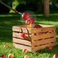 wolf garten fcm being emptied of apples into a wooden crate