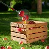 wolf garten fcm being emptied of apples into a wooden crate