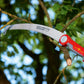 WOLF-Garten Pruning Saw - WolfOnline